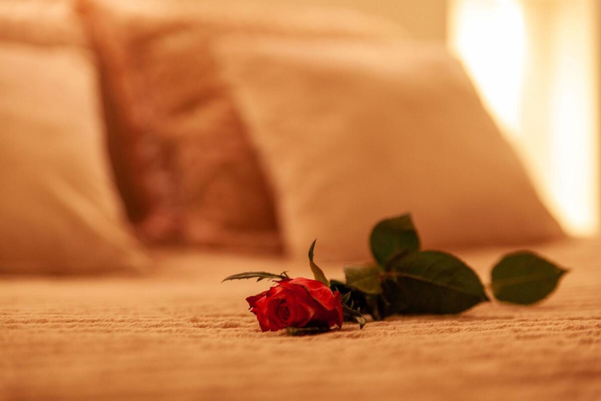 Love Room Perpignan Jacuzzi & Ambiance Romantique Villeneuve-de-la-Raho Exterior foto